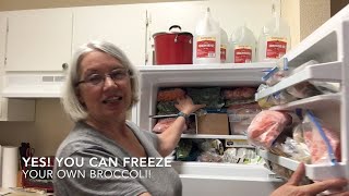 How to freeze broccoli - Can you freeze broccoli raw?