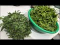 Live Cooking | Neha Ki Magic Rasoi | Aaj Kya Banega? Daily Ghar ka Khana Live