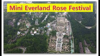 Mavic Mini Everland Rose Festival