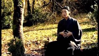 Faraz Daneshvar- Sanyo Tv Commercial 2