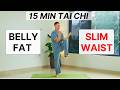 15-Min Tai Chi Workout 🌿 Burn Fat & Keep Your Body Strong After 45