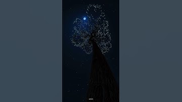 Thumbnail of Indila- Love Story instrumental ❤️ The beauty and majestical nature at night 🌙 ✨️