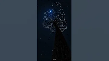 Indila Love Story Instrumental The Beauty And Majestical Nature At Night 