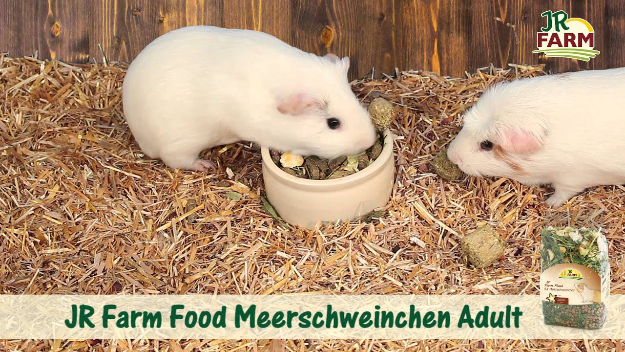 JR FARM - JR Farm Food Meerschweinchen Adult