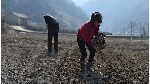 ℭThe Robot Farm Is Here