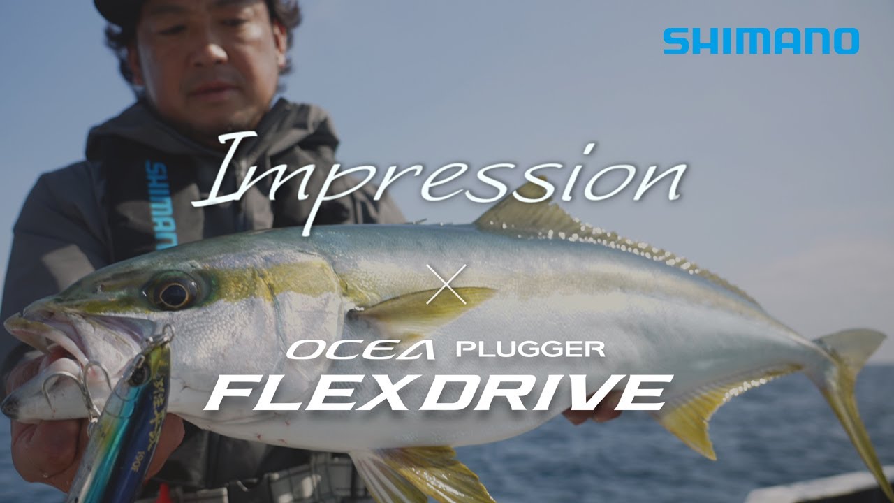 OCEA PLUGGER FLEXDRIVE  產品型號: 352675-303998-304001-304018