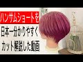簡単ハンサムショーの切り方、「日本一」分かりやすい解説とスライドカット動画