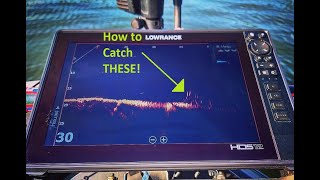 How to catch more bass using Lowrance ACTIVE TARGET! (Lake Guntersville)