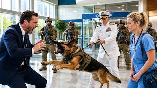 They Mocked the QUIET NURSE — Until a SEAL ADMIRAL Arrived With a K9 for Their COMBAT MEDIC