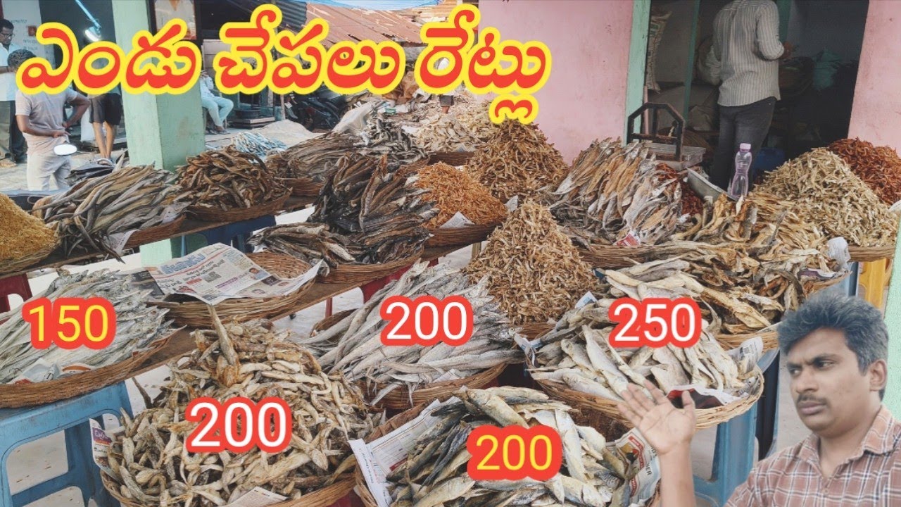 ఎండు చేపలు ఇక్కడ చవక చవక||Dry fish Market in Tadepalligudem||Dry fish Market 