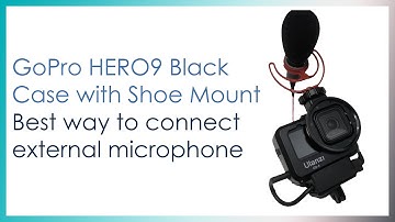 Use GoPro HERO9 Black with external microphone plus cage with 2 shoe mounts
