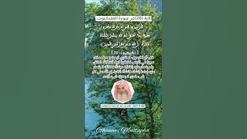 الآية (20)من سورة العنكبوت.... القارئ الشيخ علي بن عبد الرحمن الحذيفي.