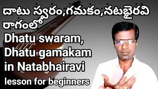 different Dhatu swaram | Dhatu gamakam in Ntabhairavi | carnatic music lesson in telugu