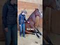 You Know NOTHING About Horses (3 Proofs) 🐎 #shorts