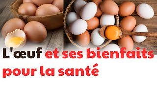 L&#39;œuf et ses bienfaits pour la santé | CDT NEWS