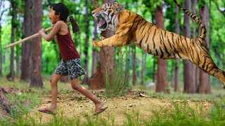 Royal bengal tiger attack | tiger attack man in the forest | tiger attack jungle