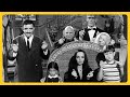 LOS LOCOS ADDAMS (historia, curiosidades y más!) | PERDÓN, CENTENNIALS