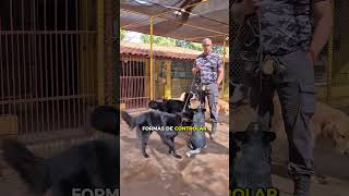 EQUILÍBRIO COMEÇA NO CONTROLE DO AMBIENTE