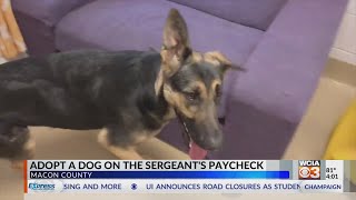 Macon Co Sergeant paying for adoptions from animal shelter this week