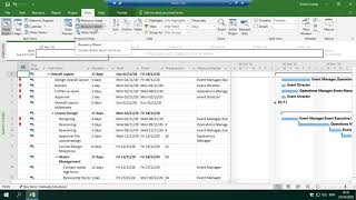 MS Project 4a individual policy