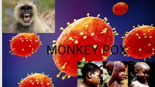 MONKEY POX VIRUS  🐒