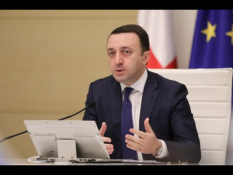 ეს არის ანტიქართული და ანტისახელმწიფოებრივი განცხადებები - ოპოზიცია პრემიერ ღარიბაშვილზე