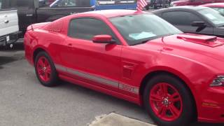 Biggest Ricer Mustang Ever?