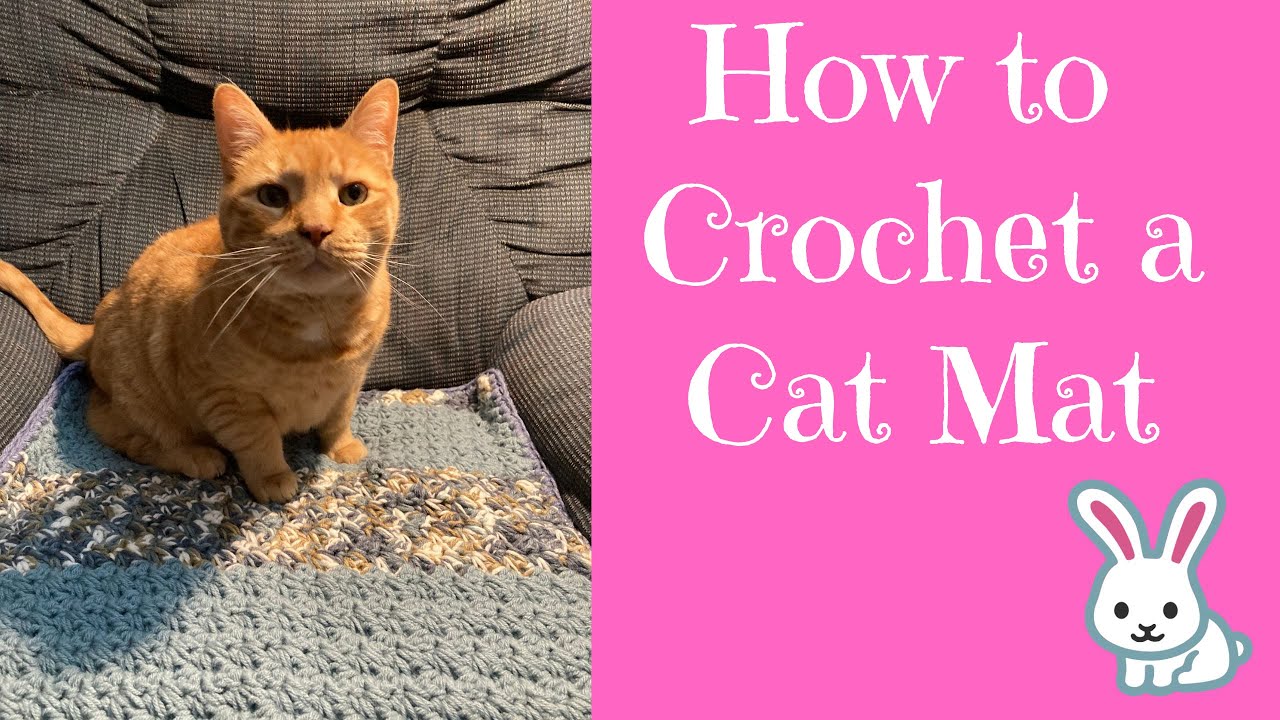 How to Crochet a Cat Mat 