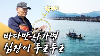 가난 때문에 바다에서 지낸 시간이 벌써 50년! 최선장과 그의 아내 이야기 #갑오징어 #사랑꾼