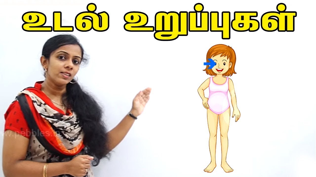 Human Body Parts Tamil Name / Skeletal System Anatomy And Function