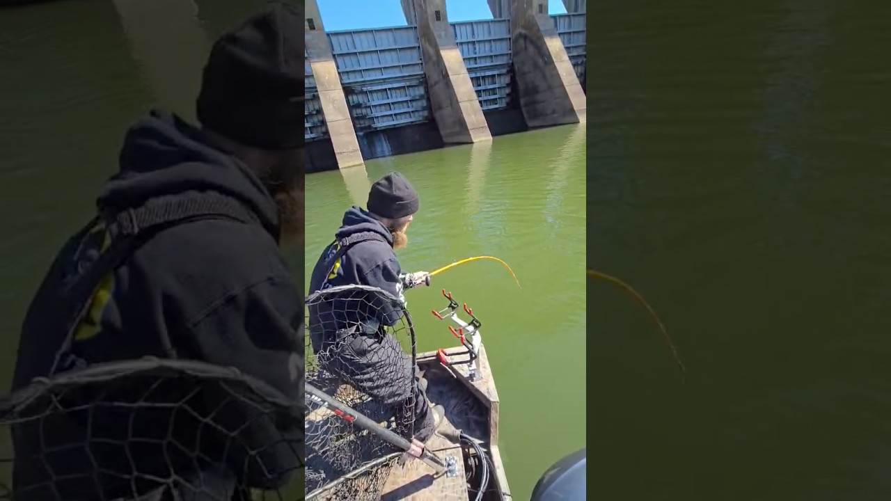 Первый сом 2026 года 