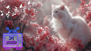 24 HOUR Calming Music for Cats with Anxiety | Sleep Music for Cats | Videos for Cats #171