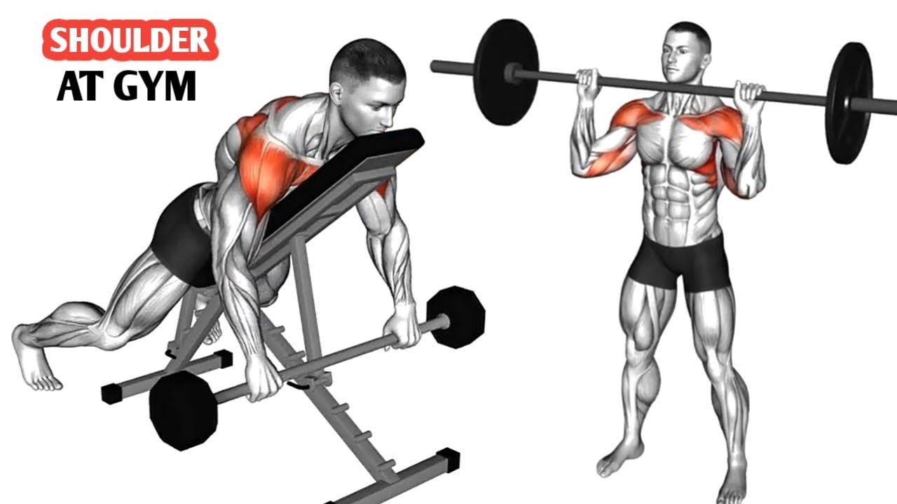 Wider & Round Shoulders 💪 6 Shoulder Exercises at Gym - YouTube