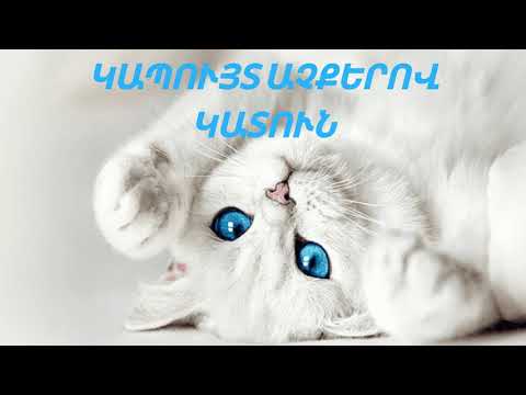 Video: Կապույտ աչքերով սպիտակ կատու. Սիրված ցեղատեսակներ, խնամք, լուսանկարներ