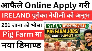 how to apply ireland work visa from nepal 2026 |ireland online apply kasari garne | Europe work 