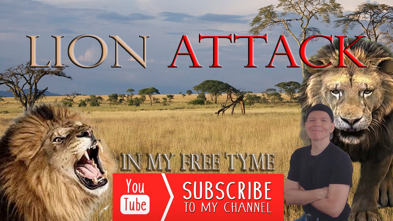 Lion (Lyon) Attack-Close Encounter-Caught On Camera-Africa.