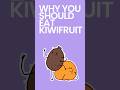 Why You Should Eat Kiwifruit #shorts