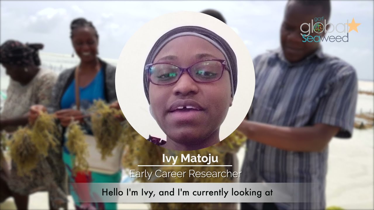 STAR Potential : Ivy / Tanzania