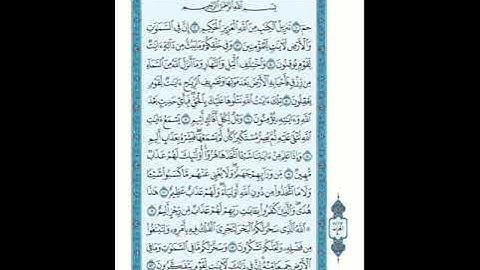 سورة الجاثية للشيخ زكي داغستاني رحمه الله