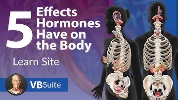 Visible Body | Learn: 5 Effects Hormones Have on the Body