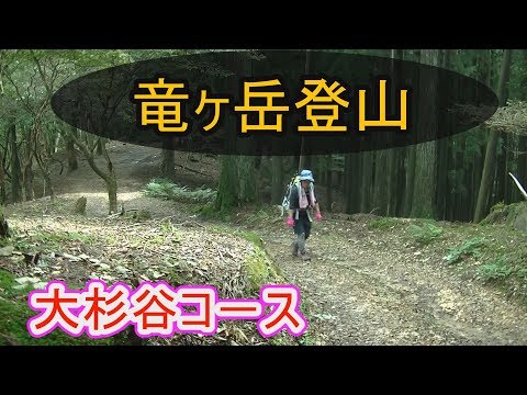 【竜ヶ岳登山】大杉谷コ-ス。京都 竜ヶ岳(標高921m)登頂記。