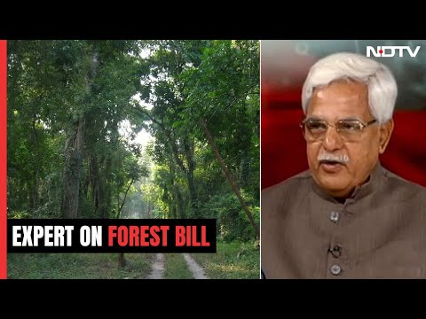 "Aim Is To Increase Forest Cover To 33%": Expert On Forest Bill | We The People