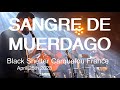 Capture de la vidéo Sangre De Muerdago Live Full Concert 4K @ Black Shelter Carquefou France April 25Th 2023