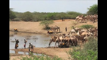 Challenges for M&E within complex projects