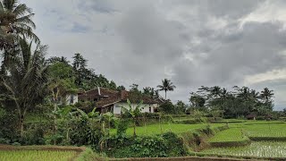 Yakin Mau Pindah Aja Ke Kampung Ini ? Terasa Tentram, Indah Dan Sejuk, Suasana Pedesaan Jawa Barat