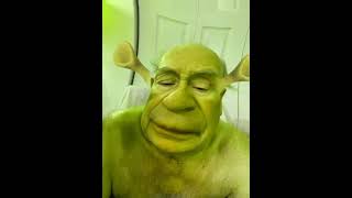 Shrek. Really. Really