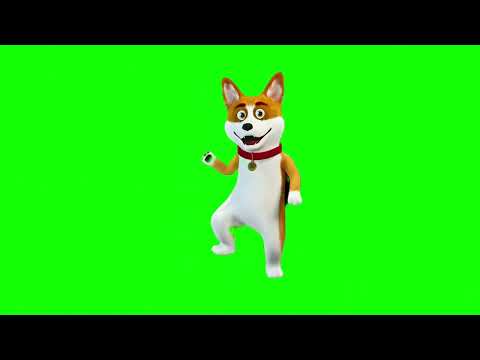 Dancing Dog Green Screen 4k ...........