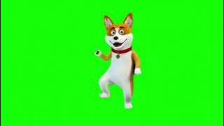 Dancing Dog Green Screen 4k ...........