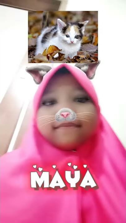 video jedag jedug dari apk capcut 15 detik keren lagu xlofi hada ahbek