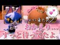 ついに大好きなあの人が帰ってきた...!? とびだせ どうぶつの森 amiibo+ 実況プレイ